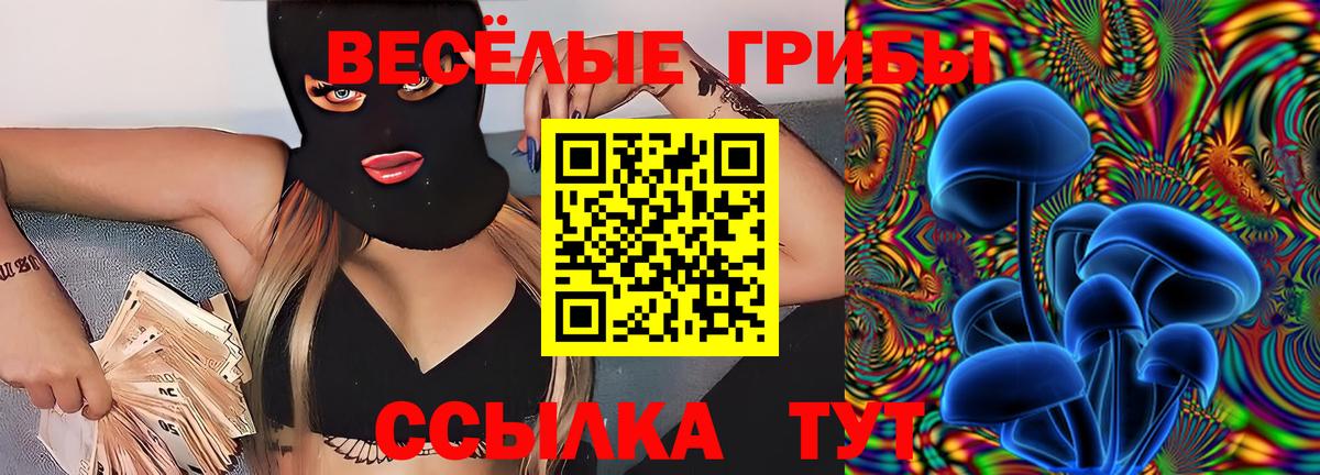 Псилоцибиновые грибы Magic Shrooms  Вход с VPN  Брянск 