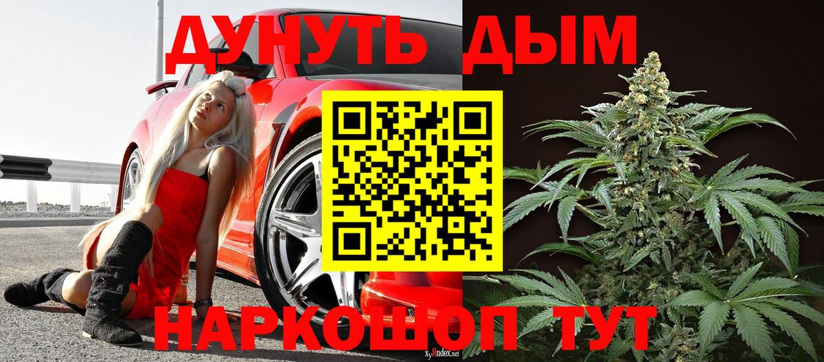 Бошки Шишки план Брянск